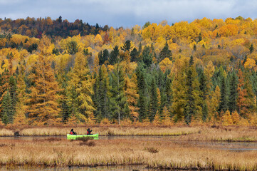 canoe on river in autumn color Algonquin Park Ontario Canada