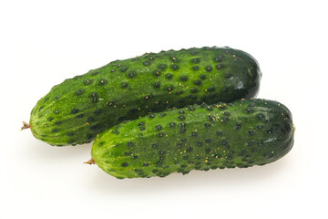 Ripe fresh green two cucumbers