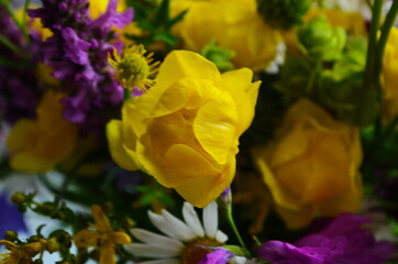 Fototapeta premium Close up of still life with bouquet of spring wild flowers. Mixed colorful wildflowers on natural background. Spring or summer floral backdrop.