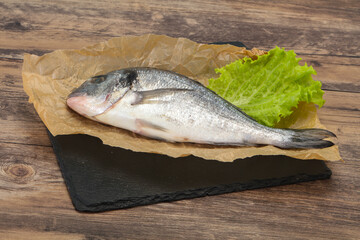 Raw Dorada fish  for cooking