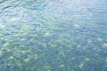 Sea water. Turquoise clear water. Summer background. Ocean in cloudy day.