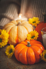 ハロウィン　オレンジカボチャの秋素材