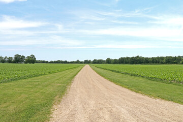 a farmland grass lined dirt road leading through agricultural fields with bright blue overcast sky perfect for seasonal marketing as well as cards posters signs and background backdrop wallpaper