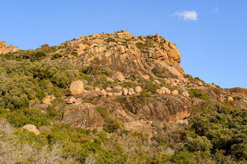 Fototapeta na wymiar Top of a mountain called Roquebrune Rock. The pink sandstone stands out against the blue sky of Provence.
