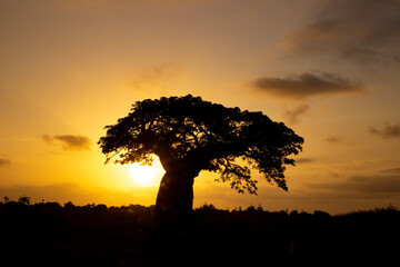 P&ocirc;r do sol Angola