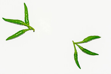 Fresh harvested green chili on white background.