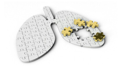 Puzzle pieces in shape of Lung. Lung shaped jigsaw 3d illustration isolated on white background.