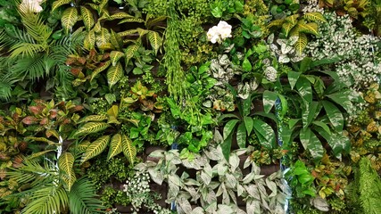 Vertical garden with various species of artificial trees.natural background