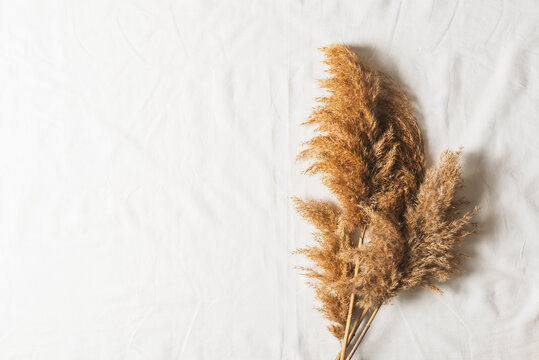 Pampas Grass On White Texture Textile, Autumn Mood Flat Lay