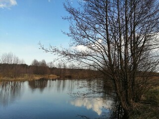 lake in the park