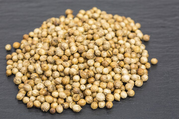 heap of coriander seeds - coriandrum sativum