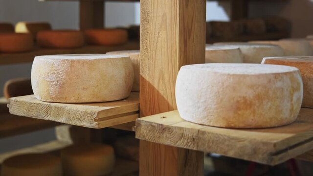 Cheese rounds (wheels) on wooden rustic shelves on sunny background. Milky shop. Ecologically clean dairy products closeup. Eco-friendly modern country farm. Food business. Online store. 4K