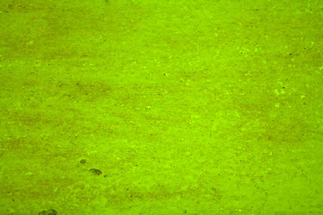 Fototapeta premium grunge green background