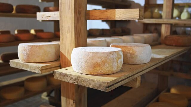 Milky farm shelves closeup. Assortment of cheese wheels in eco-friendly farmer store. Suluguni, parmesan pieces, smoked cheeses and others. Food business online. Dairy factory products. 4K