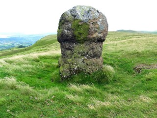 stone in the grass