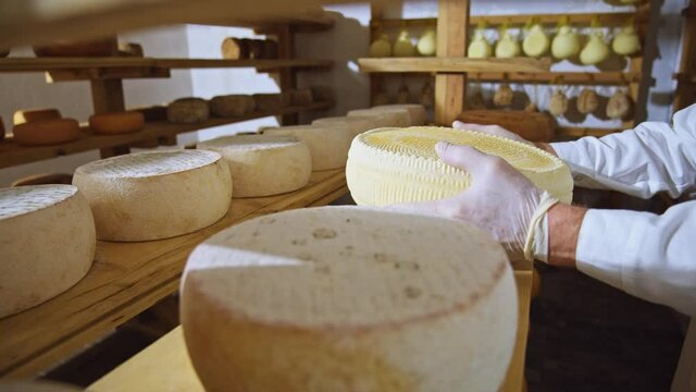 Big cheese rounds on wooden organic shelves on sunny background. Milky shop. Ecologically clean dairy products close up. Eco-friendly modern country farm. Food business. Online store. 4K