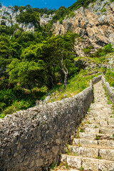 Path to the huge cliffs with many steps