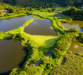 aerial view of the river