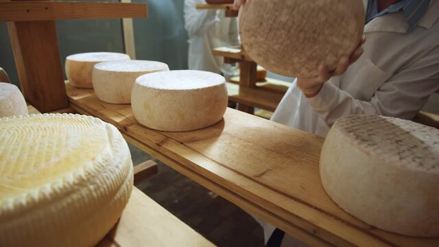 Milky farm worker turning over the cheese wheels (rounds) closeup. Dairy products store. Hard goat cheeses, bri, suluguni. Delicious food. Healthy nutrition concept. Working male farmer. 4K