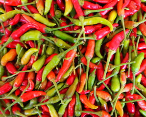 red and green chili peppers