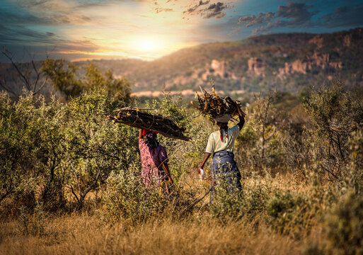 African Woman Carry Wood