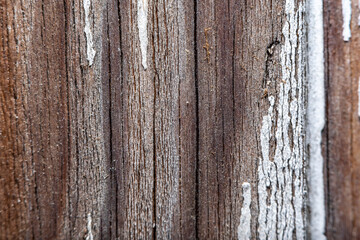 Close-up of a wooden surface with microcracks and resin at high magnification with a microscope. Soft focus and radial blur at the edges.