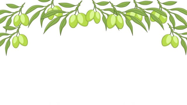 Green olives frame on white background. Copy space. Olive tree branches.