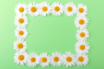 Frame made of fresh white daisies on  green background.Copy space.Chamomile  flowers in the form of  rectangle.Selective focus.Top view.Concept of decoration and design for posters,wallpapers,letterin