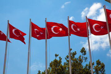 Turkish flags with blue sky in the background in the park in sunny day. Turkish patriotism concept. Turkish symbols concept. 