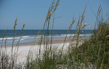 Beach Views