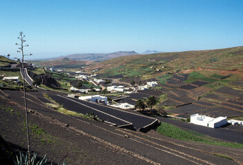 Cultures, lave, volcan, Ile de Lanzarote, Iles Canaries, Espagne