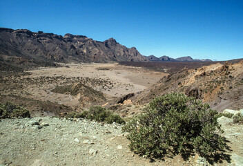Ile de Fuerte Ventura, Iles Canaries, Espagne
