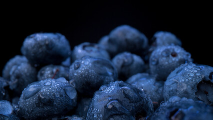 Close up of fresh blueberries with dew on black background. Summer background, raw food for vegan. Organic and bio healthy food. Fresh snacks.