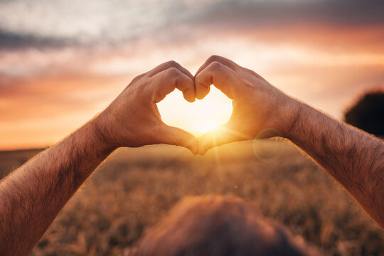 Picture of man's hands doing heart shape with fingers. Sunrise or sunset in sky. Sun shines through heart shape. Gorgeous golden wheat place or field.