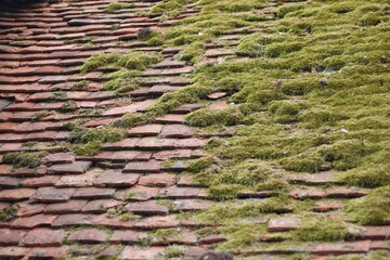 Dried moss on old rustic tiled roof with uneven tiles