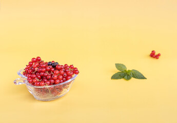 fresh red currant berries in a glass vase and mint leaves on a yellow background