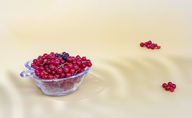 fresh red currant berries in a glass vase on a yellow background