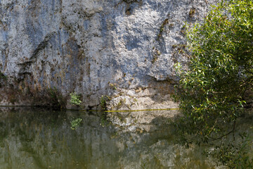 Felsen direkt an der Donau im Naturpark Obere Donau bei Fridingen (Landkreis Tuttlingen)