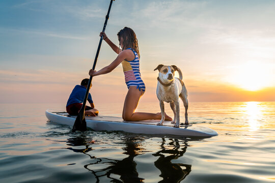 Girl and boy with their pet dog on paddleboard in Lake Michigan during sunset