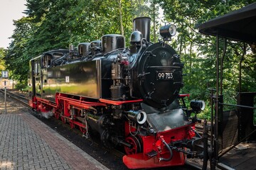 Fototapeta na wymiar Der Rasende Roland ist eine Schmalspurbahn auf Rügen.