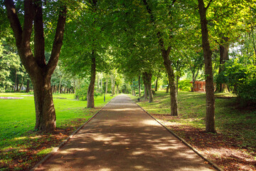 Fototapeta premium City public green park in summer, footpath on background of grass and trees lawn