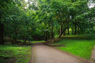 City public green park in summer, footpath on background of grass and trees lawn