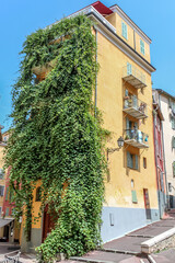 Naklejka premium Maison avec treille - mur végétalisé dans le Vieux Nice