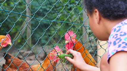 school trip to the farm 