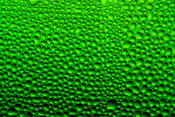 background green with macro drops