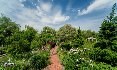 Beautiful garden landscape design. Summer day background