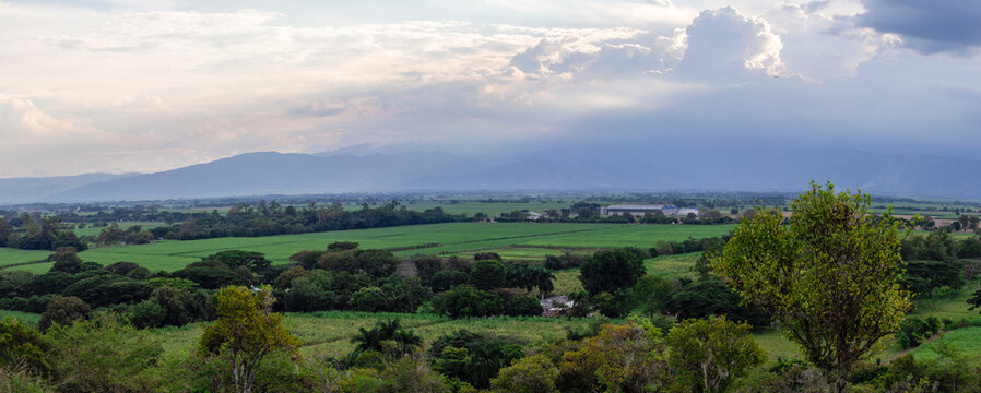 Panoramic photograph of sugar cane crops in the state of Valle del Cauca Colombia, with the western mountain range in the background.