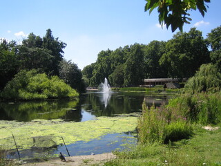 lake in the park