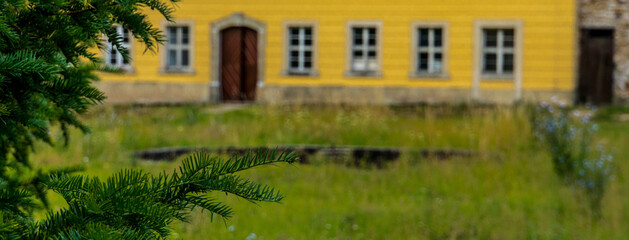 A spruce branch against the background of the servants' building