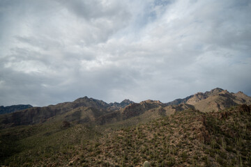 Naklejka premium Beautiful Tucson Arizona desert landscapes